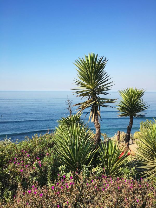 Swami's Beach, Encinitas California